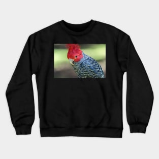 Gang Gang 1 Crewneck Sweatshirt